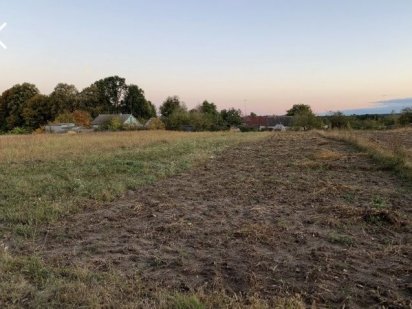 Ділянка,  Корчак Житомир