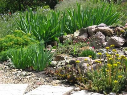 Продам участок, проспект Победы,  м.Житомирская, с/т Связист Киев