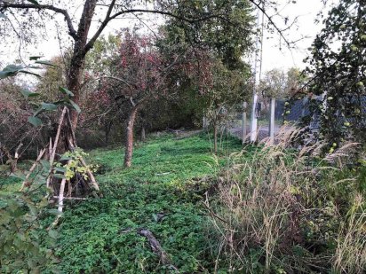 Продаж ділянки по вул. Біговій. всього 5000$ за сотку Львов