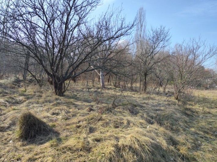 Земельна дачна ділянка Станишівське СТ - фото 1