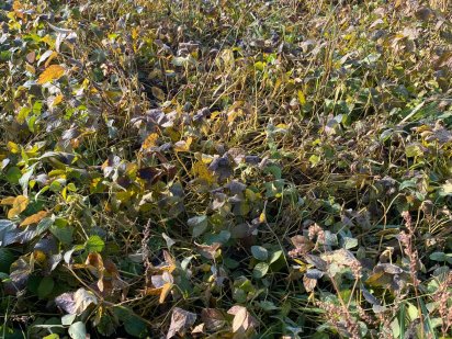 200 Гектарів Львівська обл. Дрогобицький рай Львів