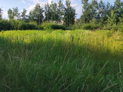 Продам 34-сот приватизованої землі Крошня Житомир