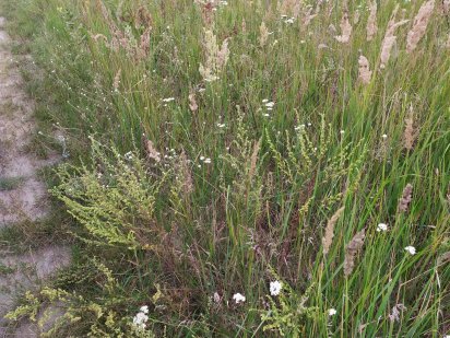 Продам участок на Малинской! Житомир