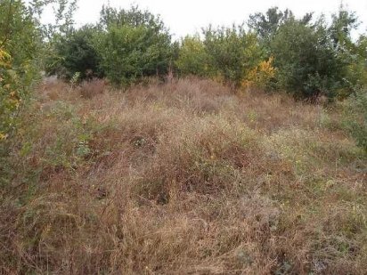 Земельна ділянка під житлову забудову