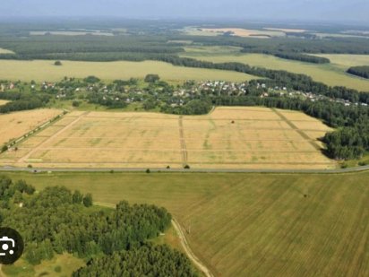 Продам землю Новомиргородський район Кіровоградська область