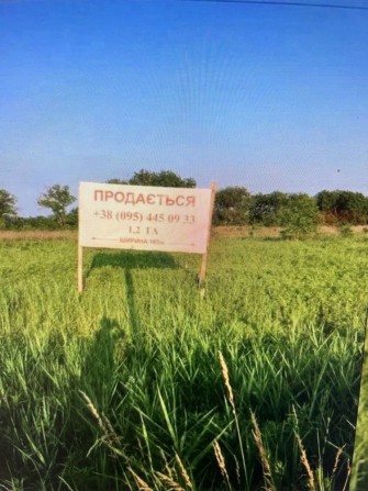 Земля біля міжнародного автопереходу Чоп-Загонь (Україна-Угорщина). - фото 1