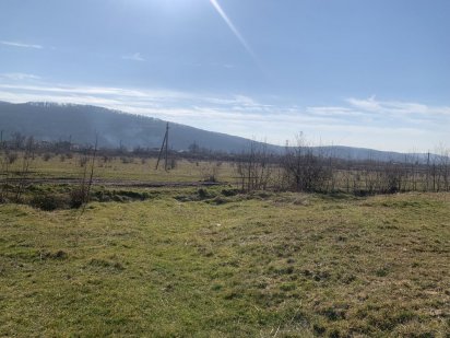 Продається ділянка 20 сотин з рибником Озеро