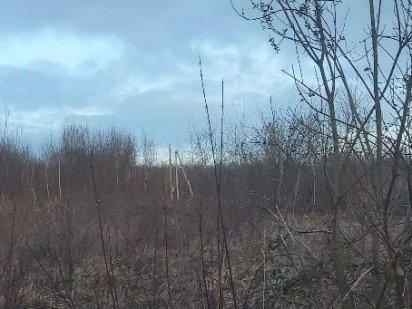 Продам участок в живописном месте Ужгород