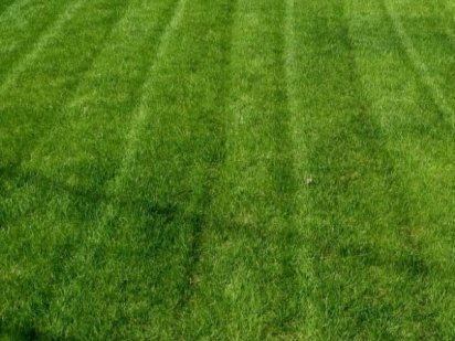 Участок 8 сот Холодная гора, Залютино Харків