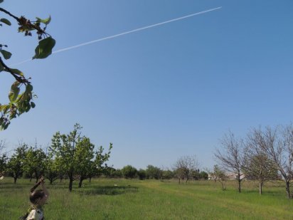 Продам дачну ділянку. Кропивницкий