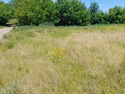 Продам земельну ділянку