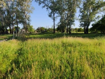 Живописный участок в экологически чистом районе Днепр