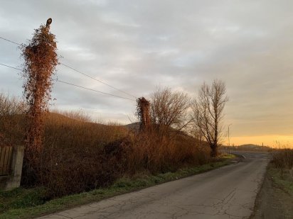 Земельна ділянка 50 соток в с. В.Лази