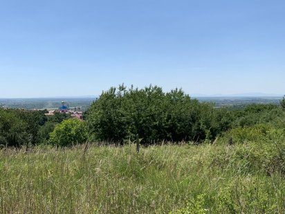 Ділянка Червениця з краєвидом Ужгород