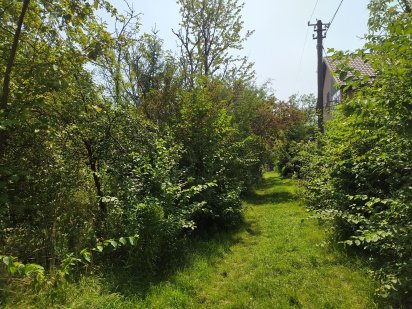 Продаж Земельної ділянки Солонка-Жирівка Львів