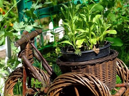 Дача Мичуринец в черте города Днепр Дніпро