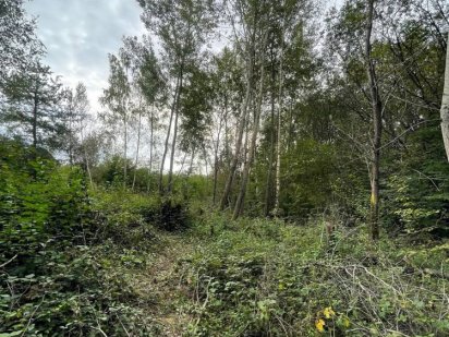 Ділянка біля лісу р-Джерельна Ужгород