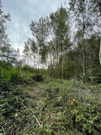 Ділянка біля лісу р-Джерельна - фото 1