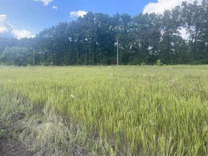 Продам дачу 8 соток СТ Рассвет (возможна рассрочка) Харків