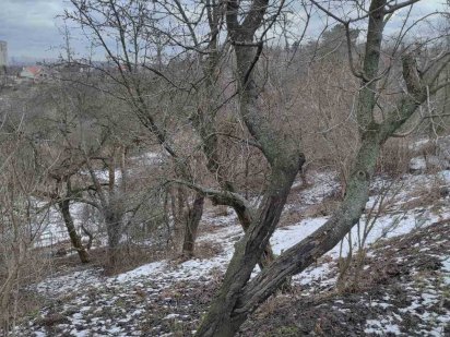 Мишоловка, Голосієво, продам земельну ділянку під забудову! Киев