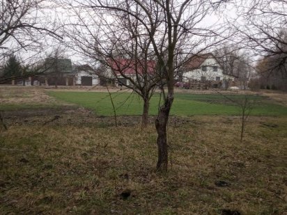 ділянка бориспільський 25 від києва 45сот Київ