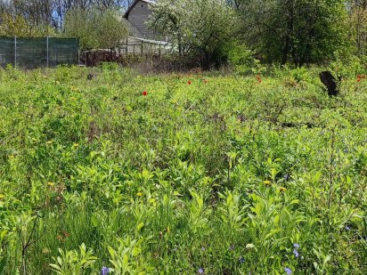 Продам земельну ділянку на СТ " Світанок " Харків