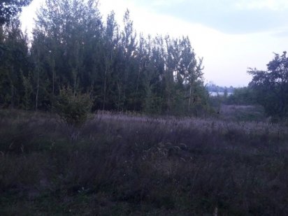 Продаж земельної ділянки 8 соток  на х-рі Редьки в Оболонському р-ні