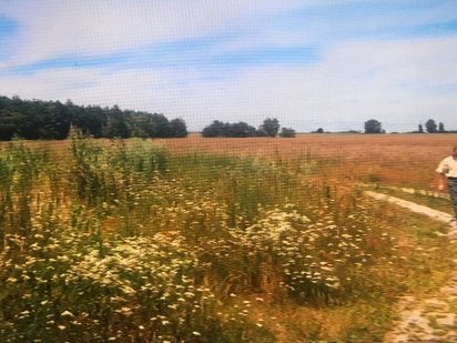 Продам участок земли 18.5 гектар. Киев