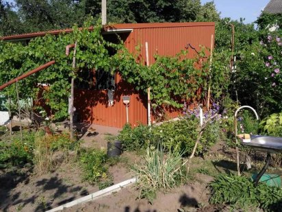 Продам дачу в Сухачевке в садовом товариществе "МРИЯ" Дніпро