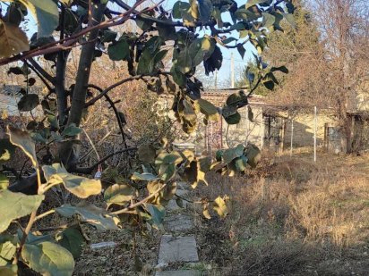 Участок 8,7 соток на 10-й станции Большого Фонтана. 1L21