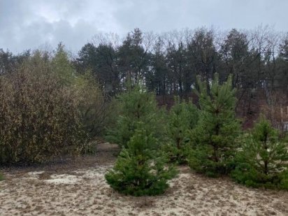 Продажа участков КГ Южный ,Конче -Заспа .Киев Голосеевский район Киев