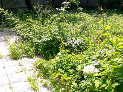 Продам участок в Аркадии Одесса