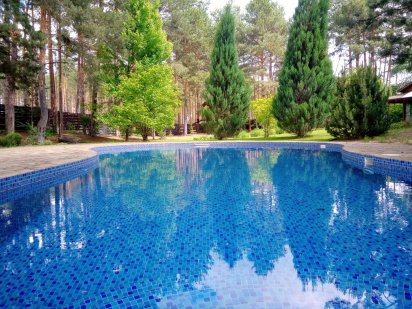 Еко відпочинок Дім Оренда Подобово .Баня, Басейн, Альтанка BBQ.від2діб Київ