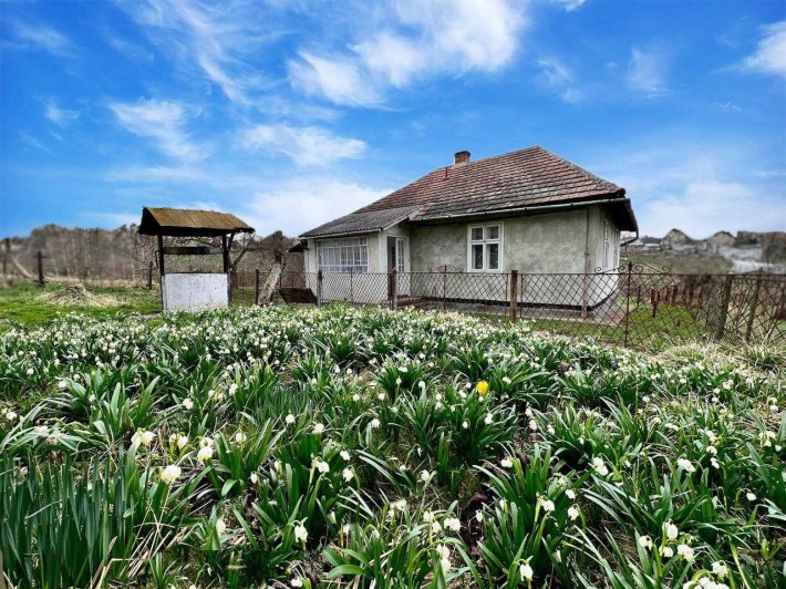 Продається будинок біля м.Дрогобич  с.Болехівці - фото 1