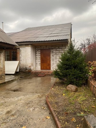Продам будинок в Нових Петрівцях - фото 1