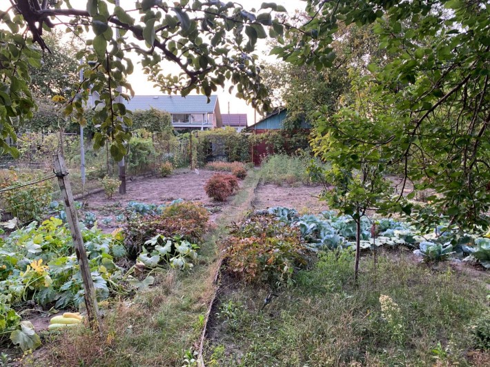 Дачний будинок , садове товариство "Зелена Зона" - фото 1