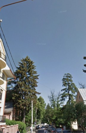 Продаж: Будинок в парковій зоні Федьковіча-Фрунзе - фото 1