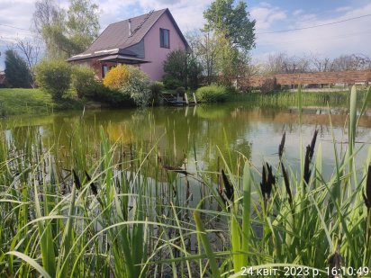 Оренда будинку подобово, басейн,баня, ставок,котедж для свят басейном Бориспіль