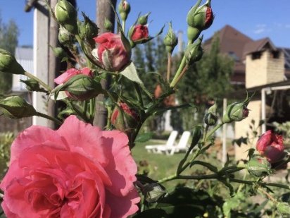 Оренда будинку баня, святкування свят , мангал озеро альтанка більярд Бориспіль