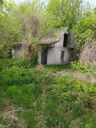 Продам будинок в селі  Вільшанська Новоселиця 60 соток - фото 1