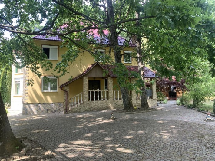 Будинок з озером біля лісу в м. Мукачево - фото 1