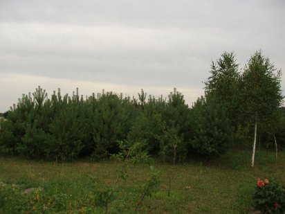 Земельна ділянка Шептицкий