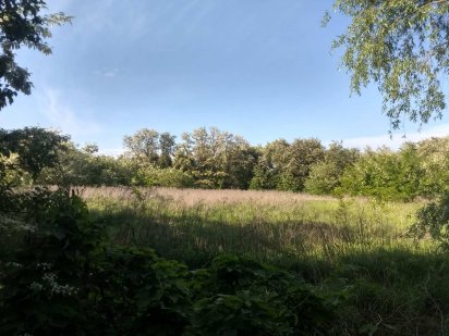 Земельна ділянка під будівництво площею 0,2060 га в с. Хлопків Бровари