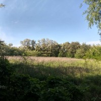 Земельна ділянка під будівництво площею 0,2060 га в с. Хлопків Бровары