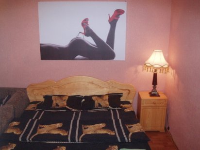 Отличная квартира на площади. Выдаю документы Житомир