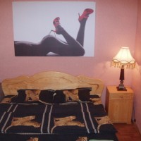 Отличная квартира на площади. Выдаю документы Житомир