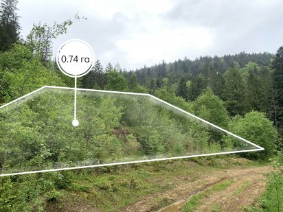Земельна ділянка в Микуличині 0.74 га ТЕРМІНОВО !!! Яремче