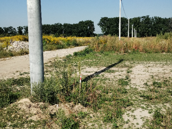 Ділянка 141 сотка, своя, 7км. від Окружної, фасад. Крюківщина