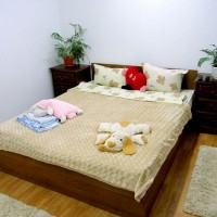 Посуточно и почасово обычная квартира в самом центре Житомира Житомир