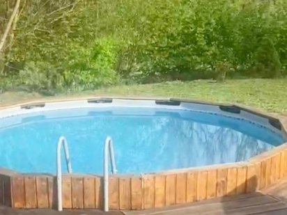 Будинок біля лісу з басейном Київ